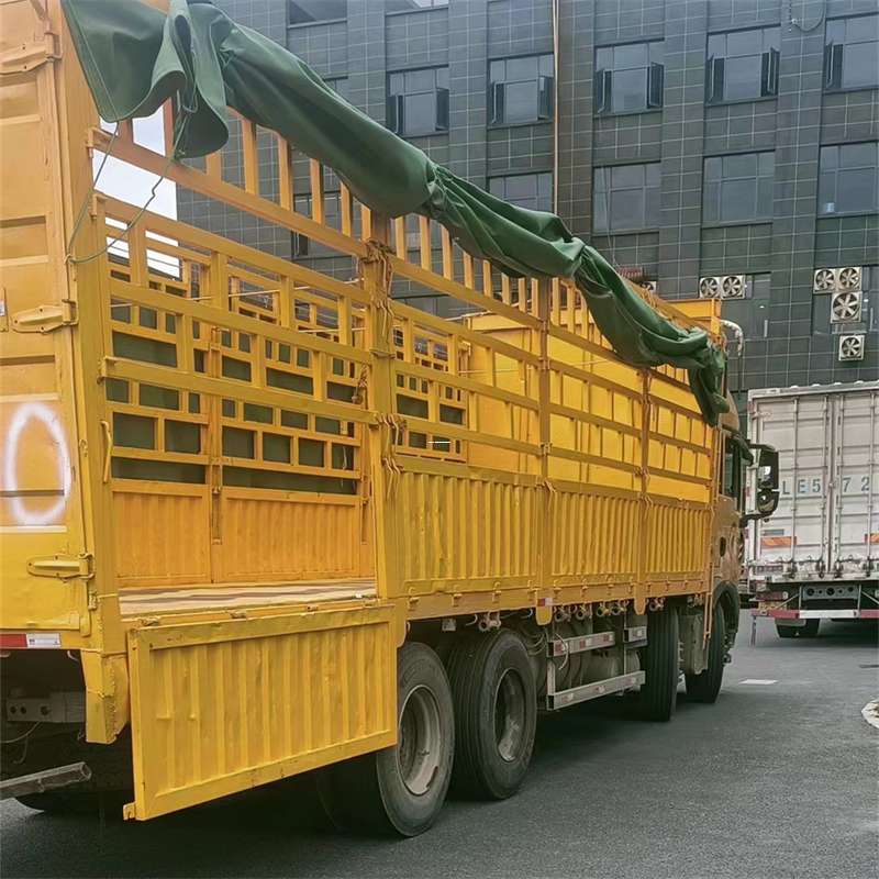 定城镇吉安市物流：多元服务与高效运输线路探秘